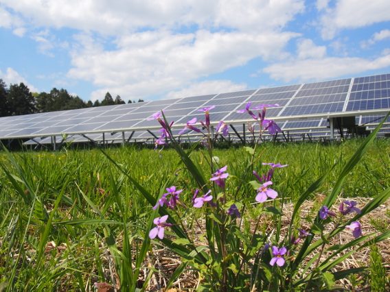 農業シェアリング